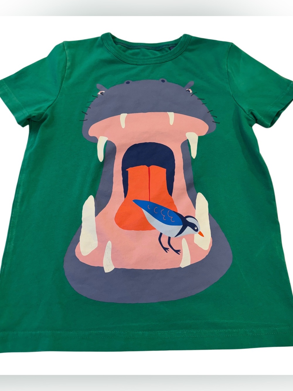 Mini Boden Green Hippo Graphic Tee
